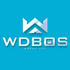 WDBOS - Petualangan Seru dalam Game Arcade